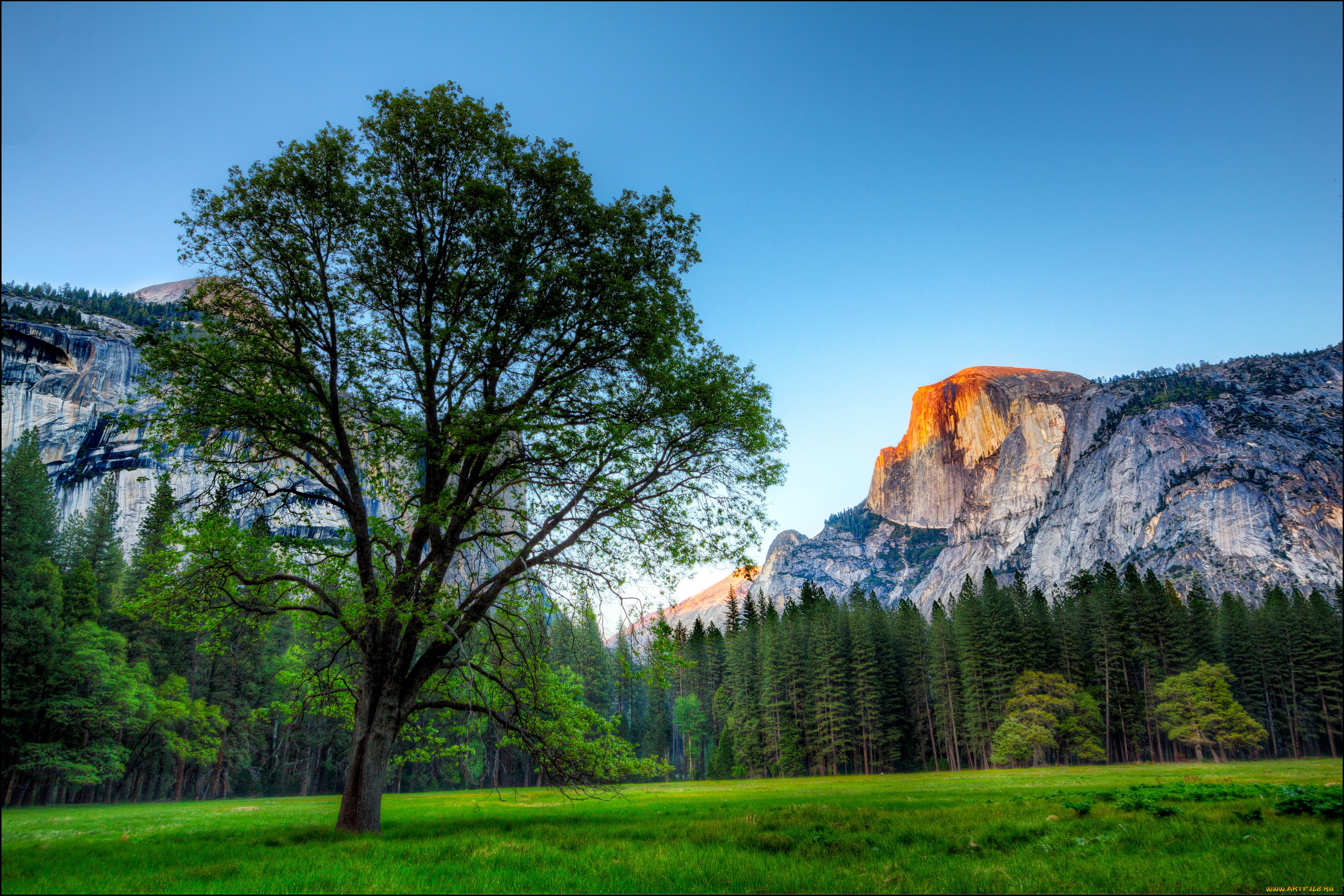 Places to visit between yosemite and monterey esignal forex volume strategy